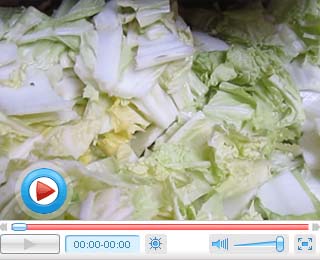 高速切白菜，就用多功能切菜机（视频）